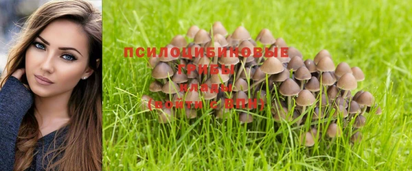 MDMA Протвино