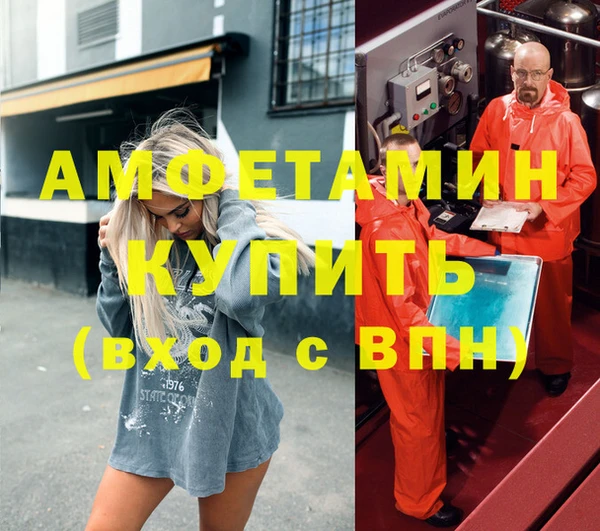 шишки Елизово