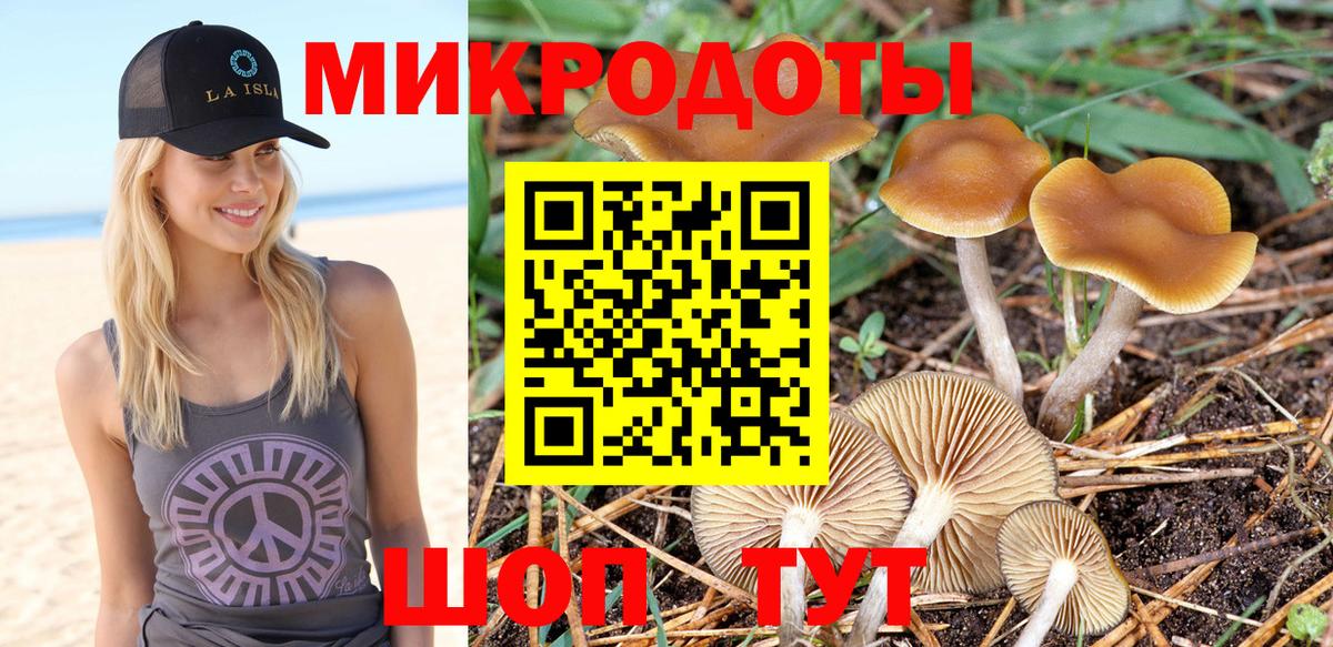 Галлюциногенные грибы Psilocybine cubensis Сланцы