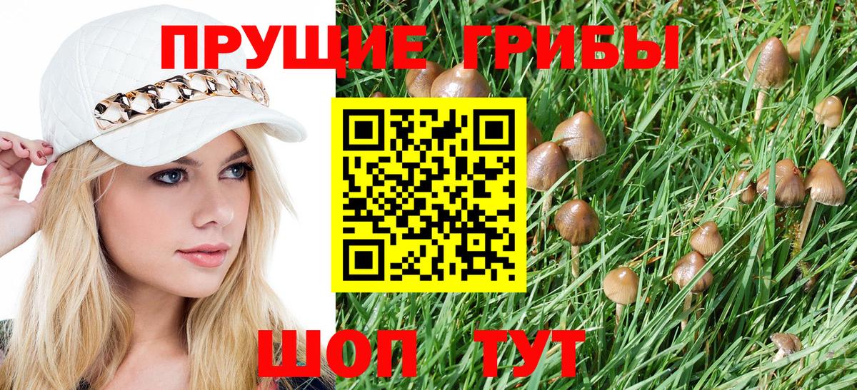 Галлюциногенные грибы Magic Shrooms  Вход с VPN  Галлюциногенные грибы ЛСД  закладка  Сланцы 