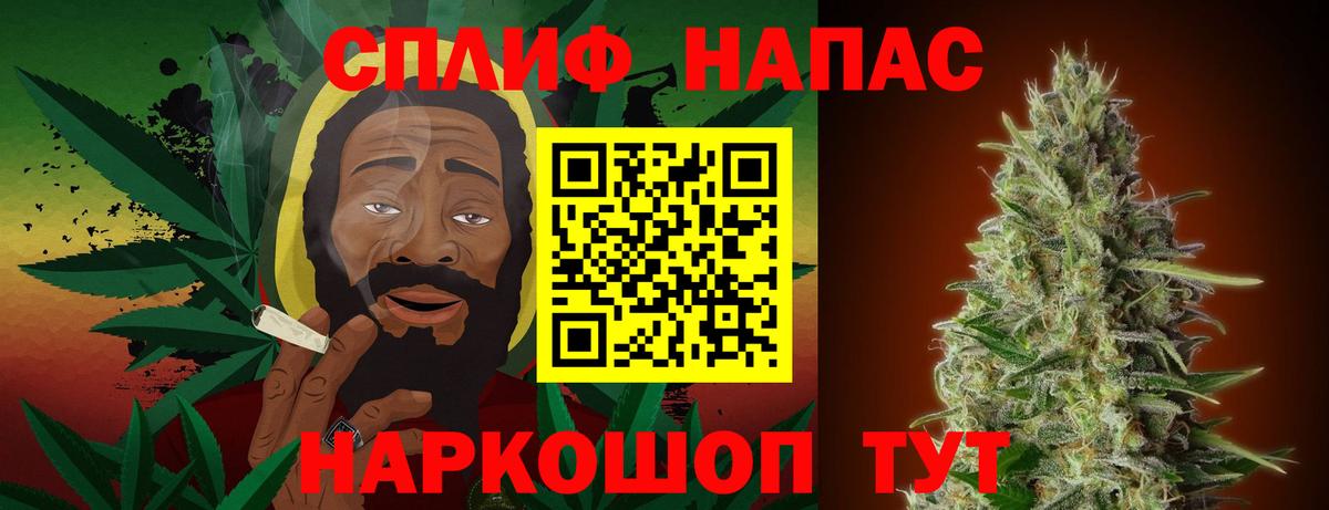 Бошки марихуана план  Вход с VPN  Каннабис семена  Каннабис Bruce Banner  Конопля конопля  Сланцы 